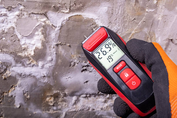 Best Mold Testing  in Ravenel, SC